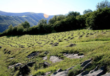 Hay making in mountain meadows
