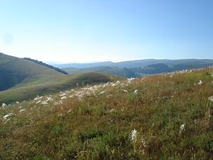 Bulgaria High Nature Value Farming